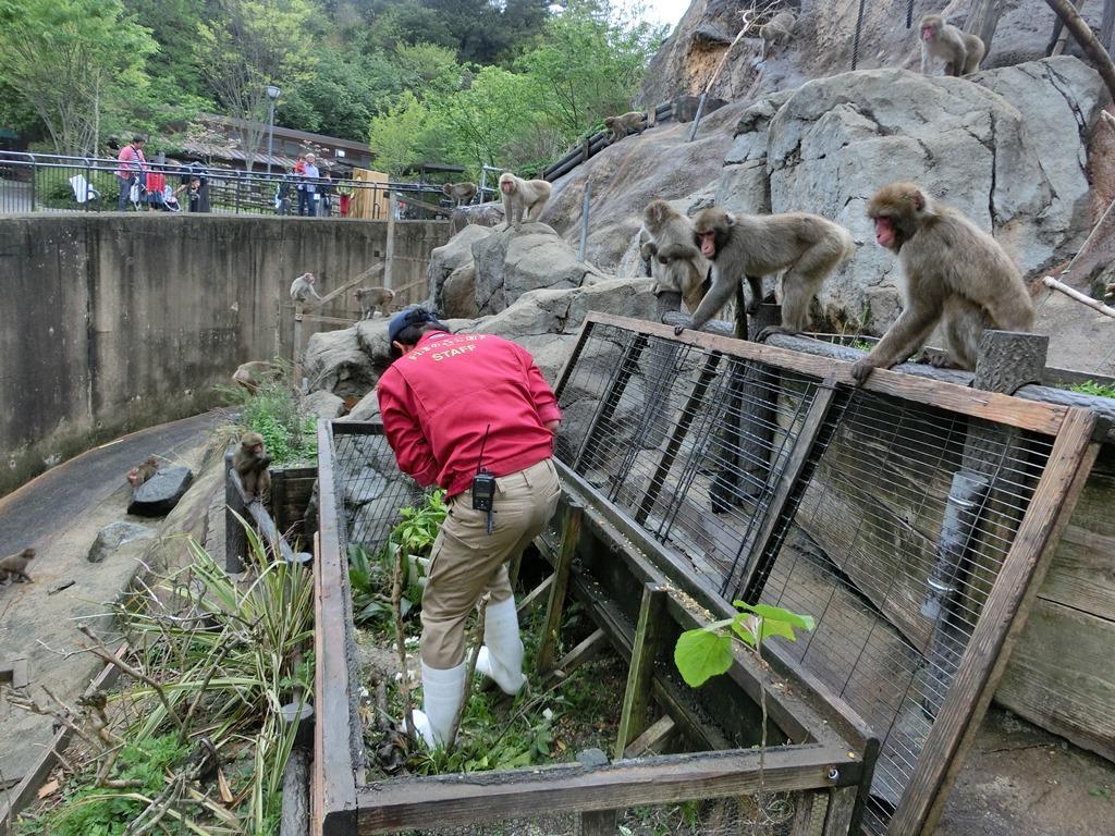みどりの月間 ひっそりとサル山編｜動物たちのおはなし｜公園だより